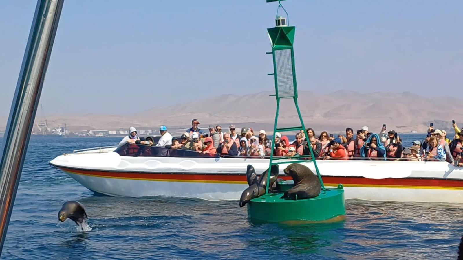 Arena Hostal Paracas Exterior foto